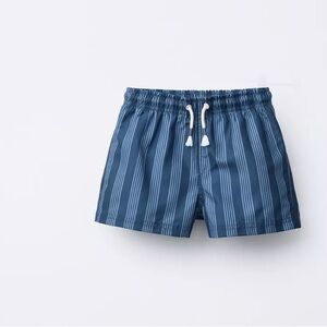 Blue Striped Swim Shorts